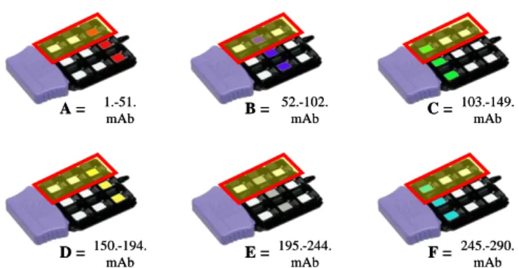 10. ábra A QP300 kit antitest kiosztása. 1 minta összesen 18 chipet foglal el (piros keretben lévő chipek),  így egy kittel 3 minta (1 &#34;tracer only' + 2 beteg/kontroll plazma) mérhető