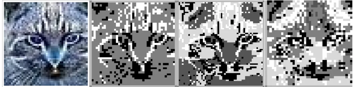 Figure 1.1: The original picture and the pixels colored with 3, 4, and 5 diﬀerent colors according to their cluster memberships (made by László Nagy).