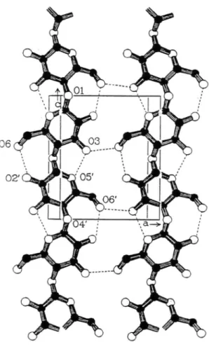 Figure 1.2. Most probable hydrogen bond pattern of cellulose I. (Kolpak and Blackwell 1976,  1978) 