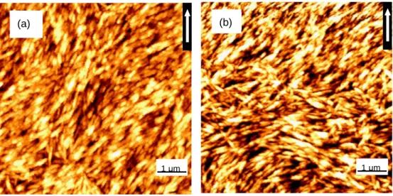 Figure 2.4. CNC films assembled on pure mica (a) and on mica with a pre-adsorbed layer of  cationic PEI (b) by the CSA technique