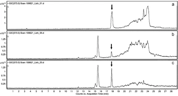9. ábra .  Extrahált ionkromatogramok (m/z 373): Pleurosticta acetabulum (a), Xanthoparmelia  pulvinaris (b), és X
