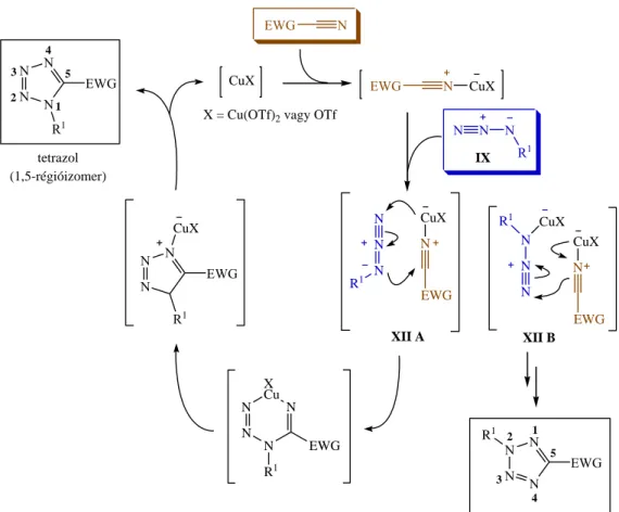 8. ábra: Réz(I)-katalizált azid/nitril cikloaddíció feltételezett mechanizmusa  