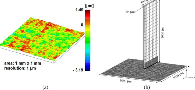 Fig. 4.16. (a) Surface topography of the brake plunger of TRW Automotive measured by di- di-amond stylus profilometer and (b) the three-dimensional FE model