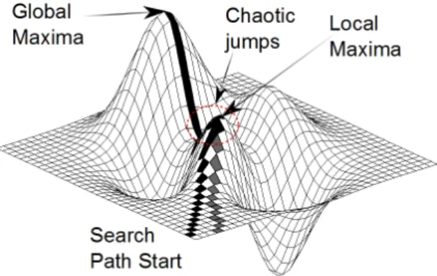 Figure 1: The path of the hill climbing and the simulated annealing algorithm is represented with gray and black colors, respectively