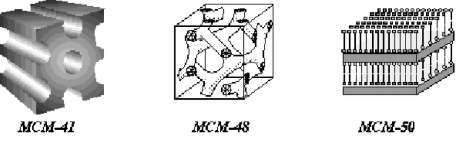 2. ábra  Az M41S anyagcsalád tagjai 