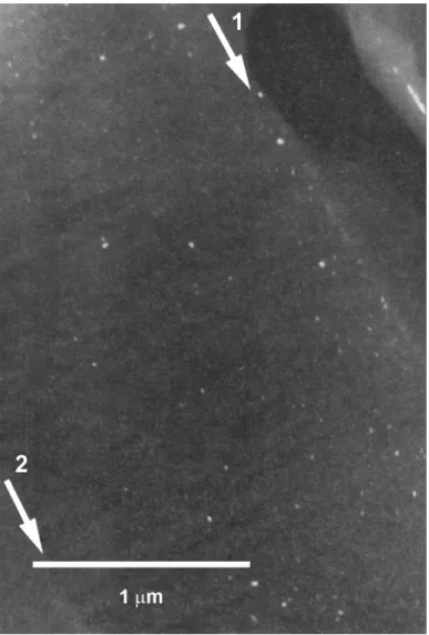 15. ábra  Pórusos szilícium réteg keresztmetszeti sötét látóter ű  TEM képe ALD módszerrel  történt SnO x  leválasztás után