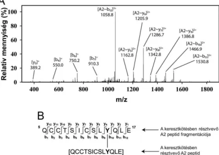 29. ábra Két Inzulin A2 peptid Tyr14-es aminosavak által összekapcsolt dimerjének  fragmentációs spektruma a megfelelő jelhozzárendelésekkel