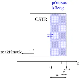 1. ábra. Egy oldalról táplált reaktor (OSFR) keresztmetszeti rajza. A folyamatos, ke- ke-vert tartályreaktor (CSTR) táplálja az ( x = 0) határfelületen keresztül a w vastagságú pórusos közeget