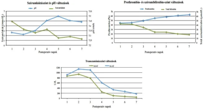 13. ábra Posztoperatív labor paraméter változások 