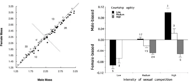 Figure 2.4. (left) Rensch’s rule in shorebirds and allies (Székely et al. 2004). log10(female mass) is plotted  against log10(male mass): species in which females are larger than males are shown by open circles, and species 