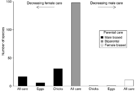 Figure 3.1. Distribution of parental care in shorebirds. ‘‘Male biased’’ means that the male contributes all care  either until the chick fledge (‘‘All care’’), or the majority of care with females deserting before hatching 