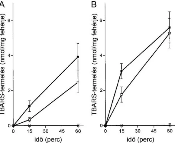 21. ábra Aszkorbát és gulonolakton hatása a lipidperoxidációra kontroll és E-vitaminmentes  májmikroszómában 