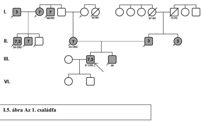 I.5. ábra Az 1. családfa 