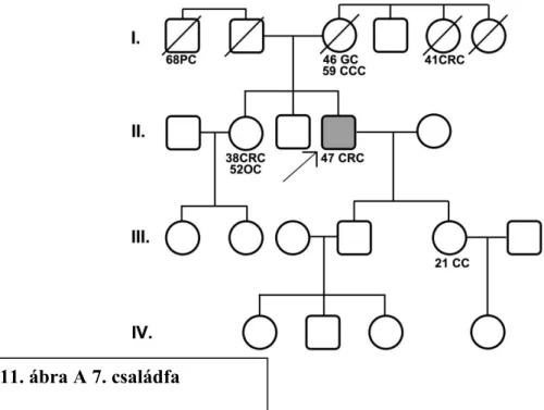 I.11. ábra A 7. családfa 