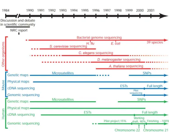 1.1. ábra. Modell szervezetek DNS-ének és az emberi DNS szekvenálásának f ˝obb évszámai