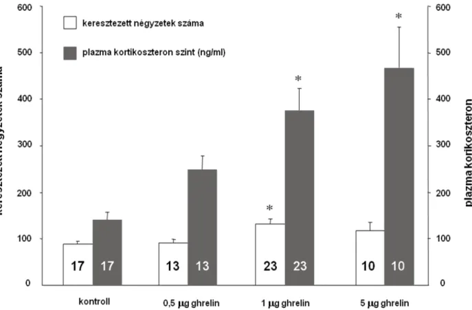 A ghrelin markánsan aktiválta a stressz tengelyt (20. ábra). Ciproheptadin előkezelés sikeresen  gátolta a ghrelin által indukált kortikoszteron emelkedést (22
