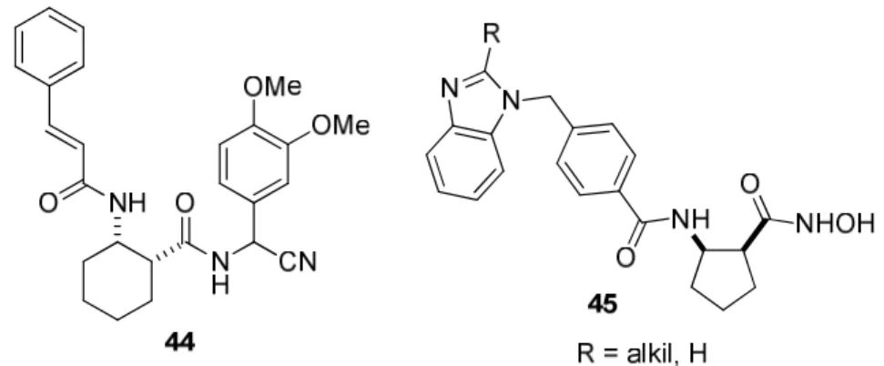 11. ábra Ciklohexán- illetve ciklopentánvázas β-aminosav elemet tartalmazó bioaktív  vegyületek 
