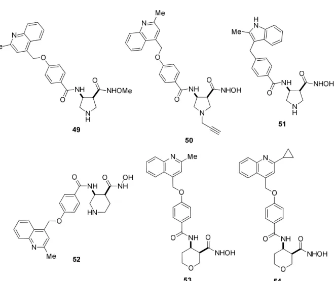 13. ábra Heterociklusos β-aminosav vázat tartalmazó tumorellenes hatású vegyületek 