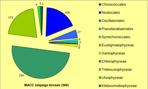 2.15. ábra: Az MACC talajból izolált cianobaktérium törzseinek rendek és eukarióta  algatörzseinek osztályok szerinti megoszlása