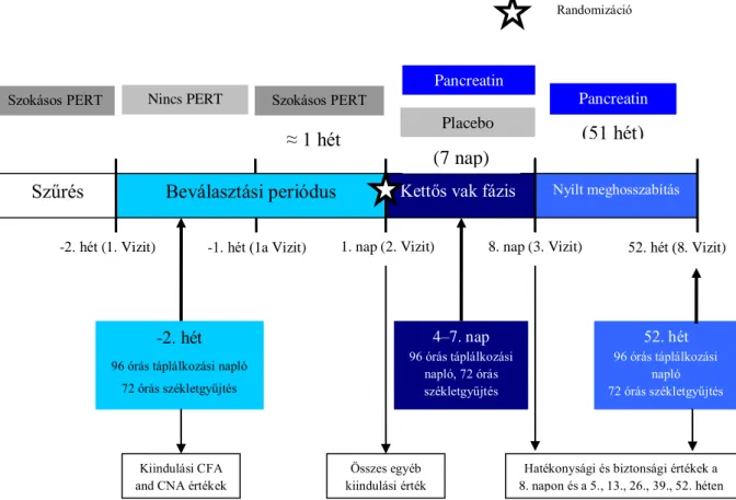 4. ábra. Vizsgálati protokoll. PERT: pancreas enzimszubsztitúciós terápia, CFA: zsír felszí- felszí-vódási koefficiens, CNA: nitrogén felszífelszí-vódási koefficiens 