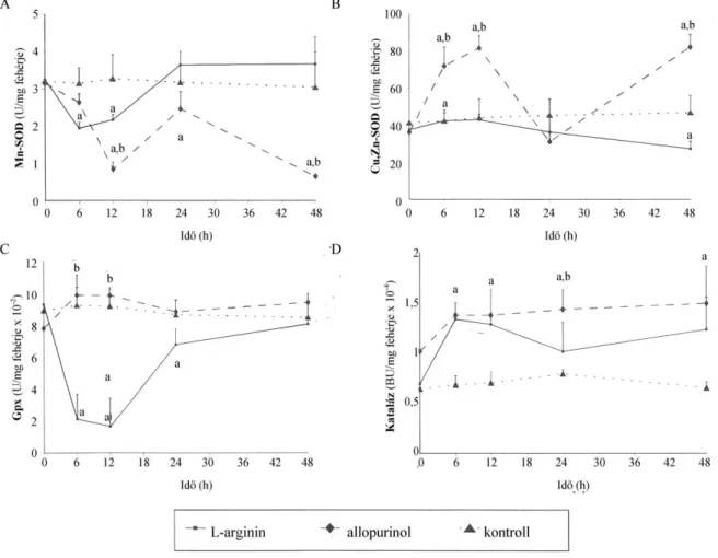 8. ábra. Allopurinol hatása a máj Mn- és Cu,Zn-szuperoxid dizmutáz (A és B), glutation  peroxidáz (C) és kataláz (D) aktivitásra az L-arginin kiváltotta pancreatitisben
