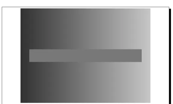 Figure 1.3: The Gradient Illusion. The central stripe has uniform color—yet it seems much lighter on the left side.