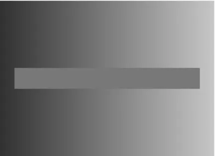 3. ábra. A szimultán kontraszt illúzió. A középső sáv színe egységes, mégis sokkal világosabbnak tűnik a bal oldalon.