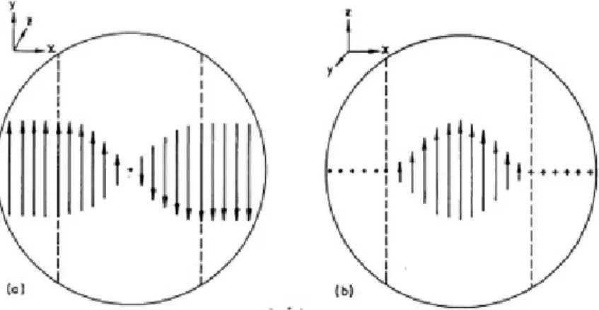 8. ábra   Egy 180°-os doménfal képe az elválasztott domének irányítottságával  párhuzamos (a) és arra merőleges (b) irányokból
