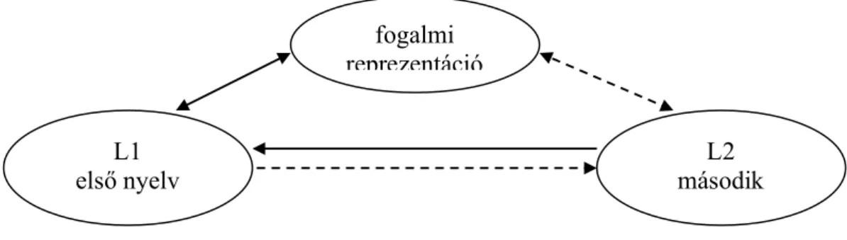 12. ábra. A kétnyelvű memória-reprezentáció újragondolt hierarchikus modellje  (Heredia, 1996) 