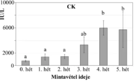 hústermel® pulykához - extrém magas CK aktivitáshoz vezetett (3. ábra).