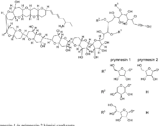 5. ábra Primnezin-1 és primnezin-2 kémiai szerkezete 