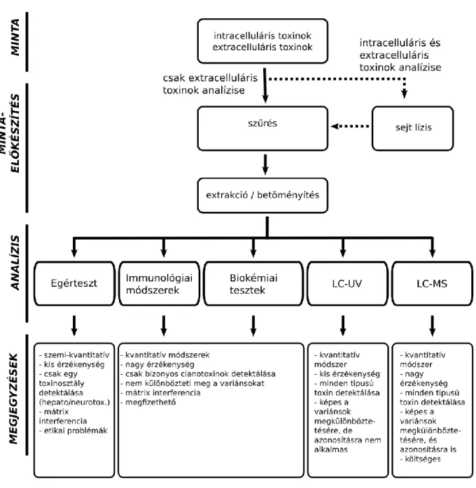 Az algatoxinok analízisére a módszerek széles választéka áll rendelkezésre (8. ábra). 