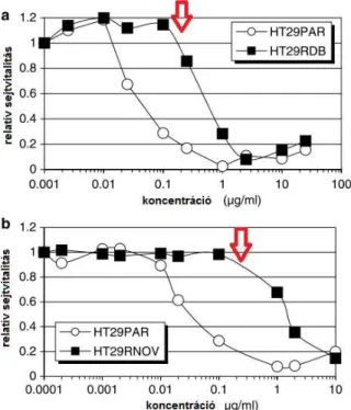 9. ábra. A HT29 sejtvonal (HT29PAR), valamint a daunorubicin (HT29RDB) és mitoxantron  (HT29RNOV) rezisztens leányvonalai a daunorubicin (A) és mitoxantron (B) különböz ő
