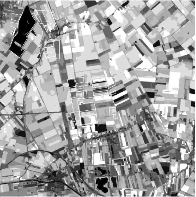 Figure 1.14: Unsupervised segmentation result with 10 classes (Gibbs Sampler).