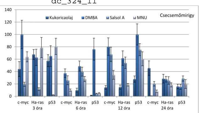 21. ábra: A c-myc, Ha- ras és p53 gének expressziós mintázata CBA/CA egér csecsemőmirigyben  3, 6, 12 és 24 órával a karcinogén kezelés után 
