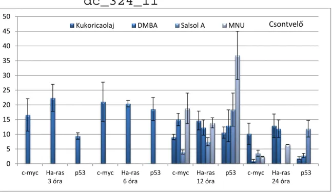 23. ábra: A c-myc, Ha- ras és p53 gének expressziós mintázata CBA/CA egér csontvelőben  3, 6, 12 és 24 órával a karcinogén kezelés után 