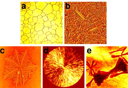 3. ábra. Kompakt (a) ill. dendrites szerkezet˝u (b) egykristály szemcsék növekedésével és felütközésével kialakuló polikristályos szerkezetek [28, 29] ill