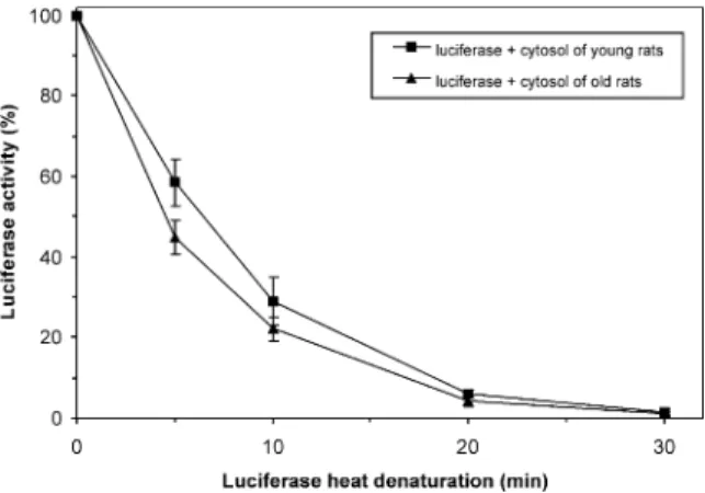 Fig. 1. Protection of luciferase activity against heat denaturation by cytosol of young (10 weeks) and old (26 months) Wistar rats.
