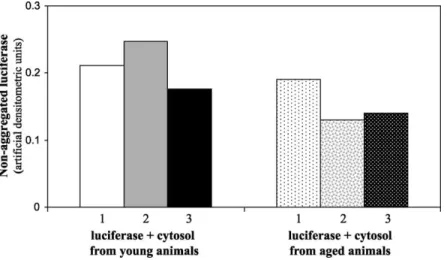 Fig. 2. Prevention of luciferase aggregation by cytosol samples from livers of young (10 weeks) and old (26 months) Wistar rats