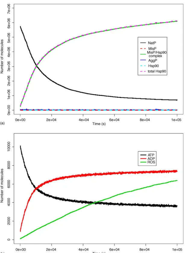 Fig. 4. Simulation results for a cell experiencing increased levels of ROS with time. (a) Levels of native protein (NatP), misfolded protein (MisP), misfolded protein complexed with Hsp90, aggregated protein (AggP) and unbound Hsp90