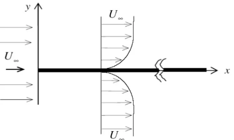 Fig. 2.1 Boundary layer on a flat surface at zero incidence