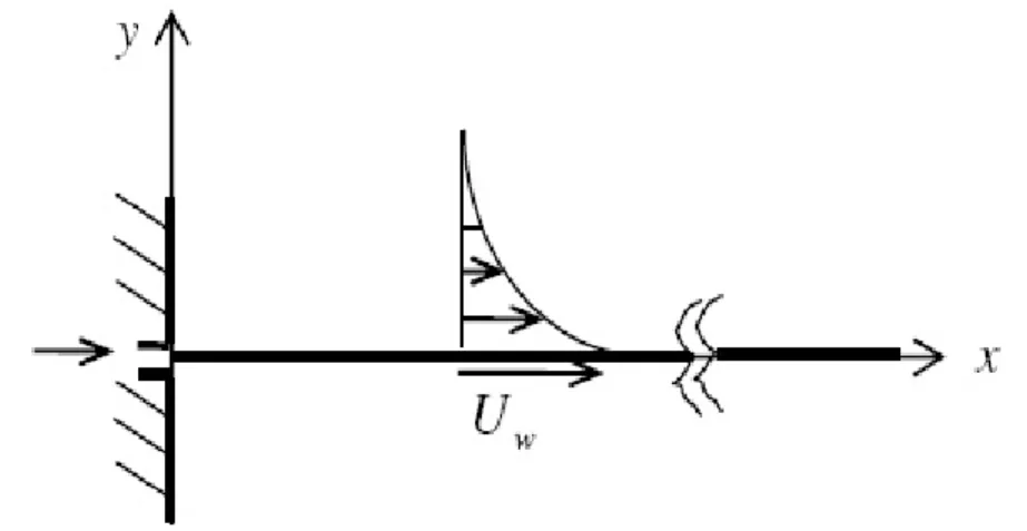 Fig. 3.1 The physical model on a continuous moving surface