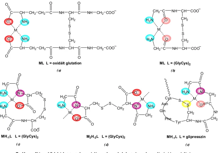 A 6. ábra az oxidált glutation (GSSG) és glicil-ciszteinil-diszulfid (GlyCys) 2 , valamint  az oxitocin és egy vazopresszin származék (glipresszin) szerkezetét mutatja be, amelyek  fémkomplexein keresztül szemléltethető a diszulfidkén hatása a komplexképző