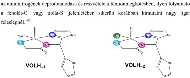 28. ábra  A peptidszerű koordinációjú VO(IV) komplexek szerkezete  5.1.4. Imidazoláto-hidas többmagvú komplexek 