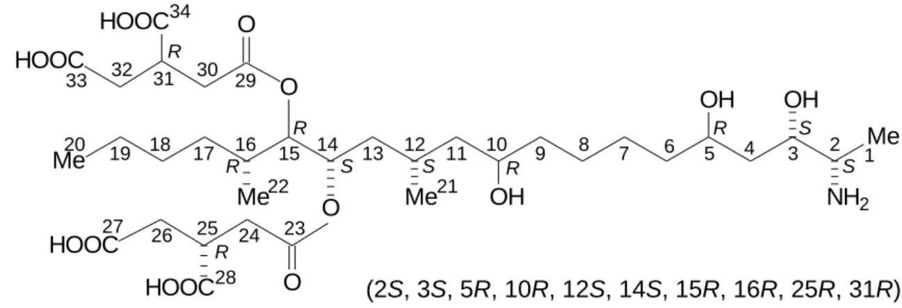 1. ábra. Az FB 1  toxin szerkezete és a királis szénatomok abszolút konfigurációja. 