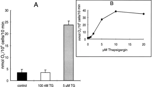 5. ábra A TG hatása humán neutrofil granulociták O 2 .-  termelésére 