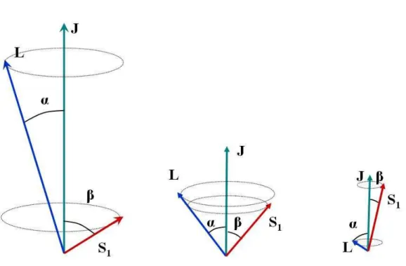 4.1. ábra. A régi nyaláb az eredeti S 1 spin irányába mutat. A két fekete lyuk közeled- közeled-tével lassú, SO kölcsönhatás által generált precessziós mozgás kezdődik (bal oldali ábra) a teljes J impulzusmomentum iránya körül