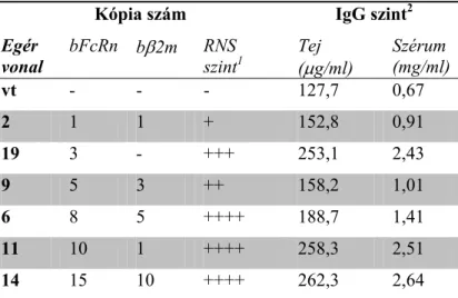1. táblázat – Transzgén kifejeződés és a tej, szérum IgG  szintek alakulása 6 bFcRn transzgénikus vonal egyedeiben