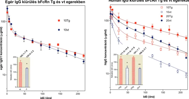 41. ábra - Egér IgG1 és hIgG farmakokinetikai elemzése vt és 4 kópiás bFcRn Tg (FVB/N) egerekben  Az ábrán 10 mg/ttkg ovalbumin specifikus egér IgG1 (Bender et al., 2007), illetve 10 mg/ttkg és 20  mg/ttkg hIgG intravénás injektálását követően az ellenanya