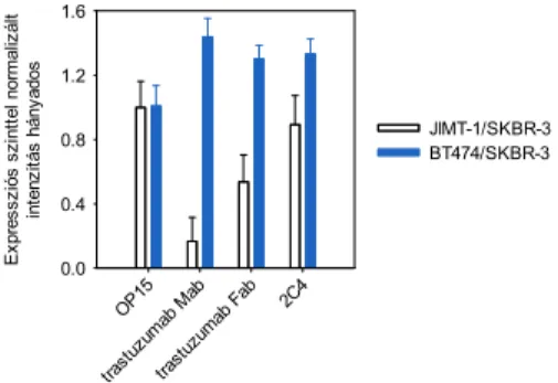 4. ábra. A trastuzumab kötő epitóp maszkírozása JIMT‐1 sejteken.